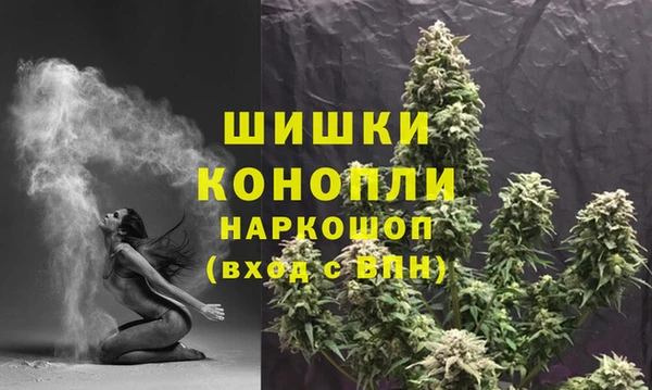 гашик Аркадак