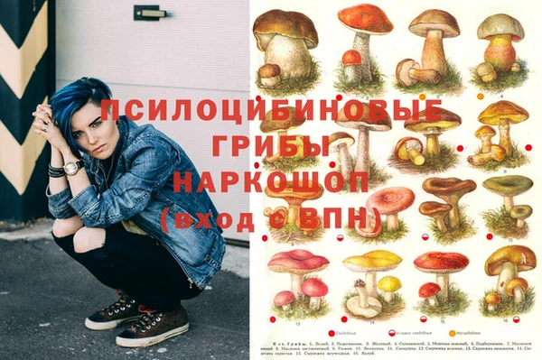 ГАЛЛЮЦИНОГЕННЫЕ ГРИБЫ Арсеньев