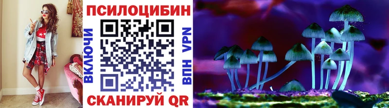 Галлюциногенные грибы Magic Shrooms  купить  цена  Сретенск 